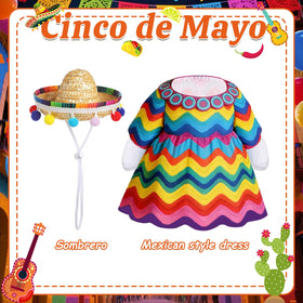 Fuzzivator Cinco de Mayo porch goose outfit brightens outdoor party visuals.