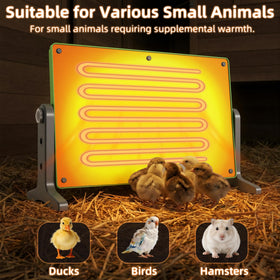 Fuzzy Bird Brooder height adjustment helps fit various brood box setups