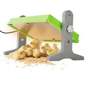 Fuzzy Bird Chick Brooder top view highlights compact heat plate for steady warmth