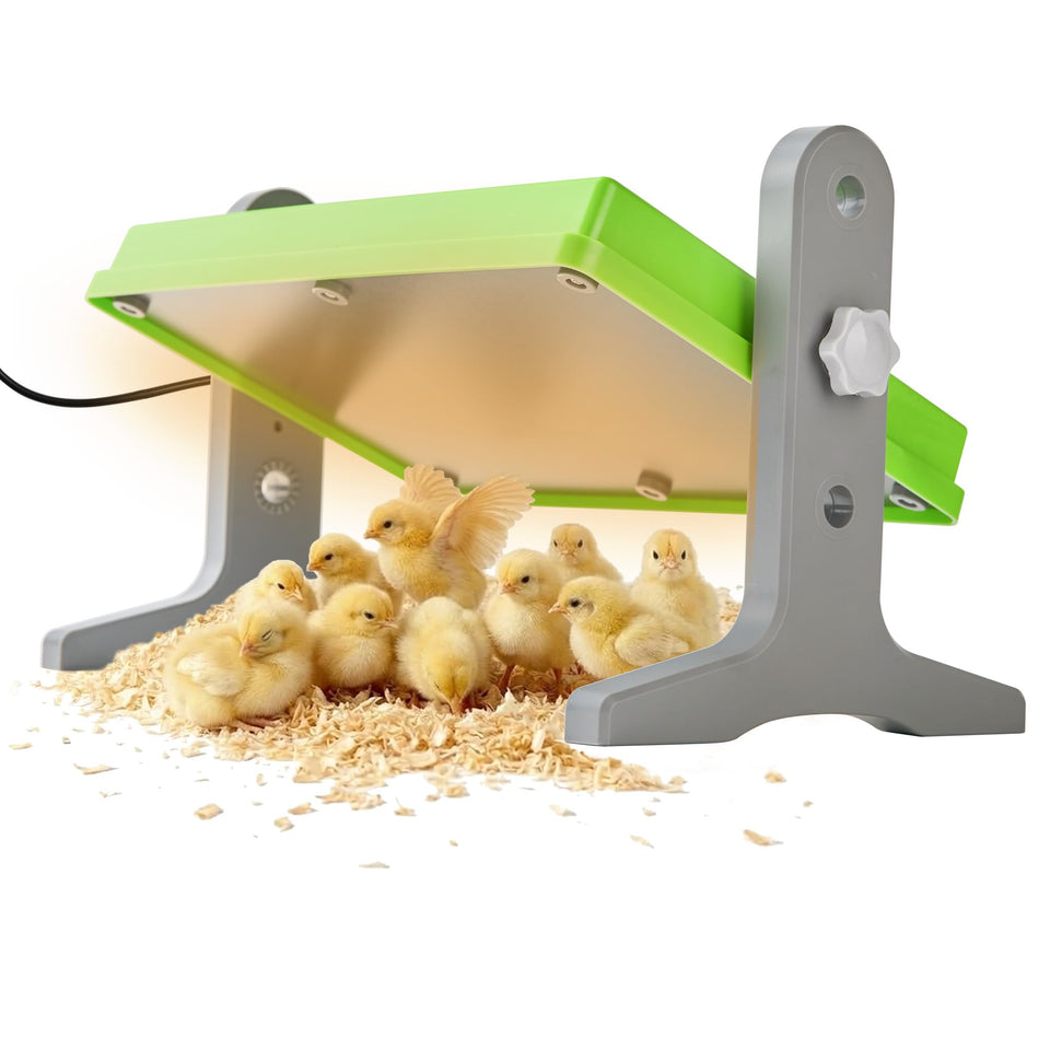 Fuzzy Bird Chick Brooder top view highlights compact heat plate for steady warmth