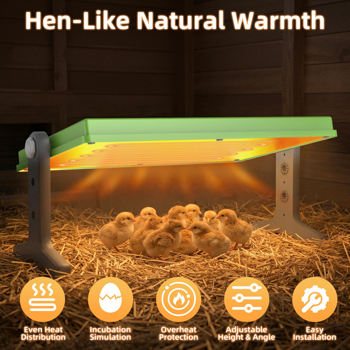 Fuzzy Bird Brooder demonstrates warmth for chicks and small birds