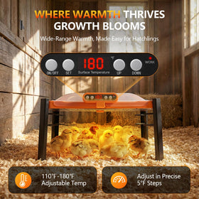 Fvlotrik Brooder Plate with adjustable height for growing chicks