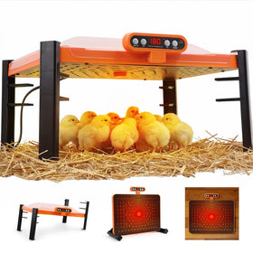 Fvlotrik Smart Brooder Plate with temperature display for precise warmth monitoring