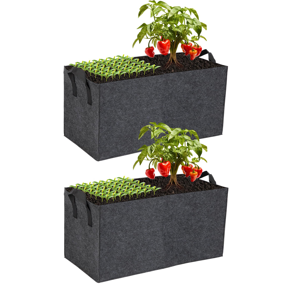 FVOTNW 2-pack with two compartments for separate planting, ideal for compact raised beds.