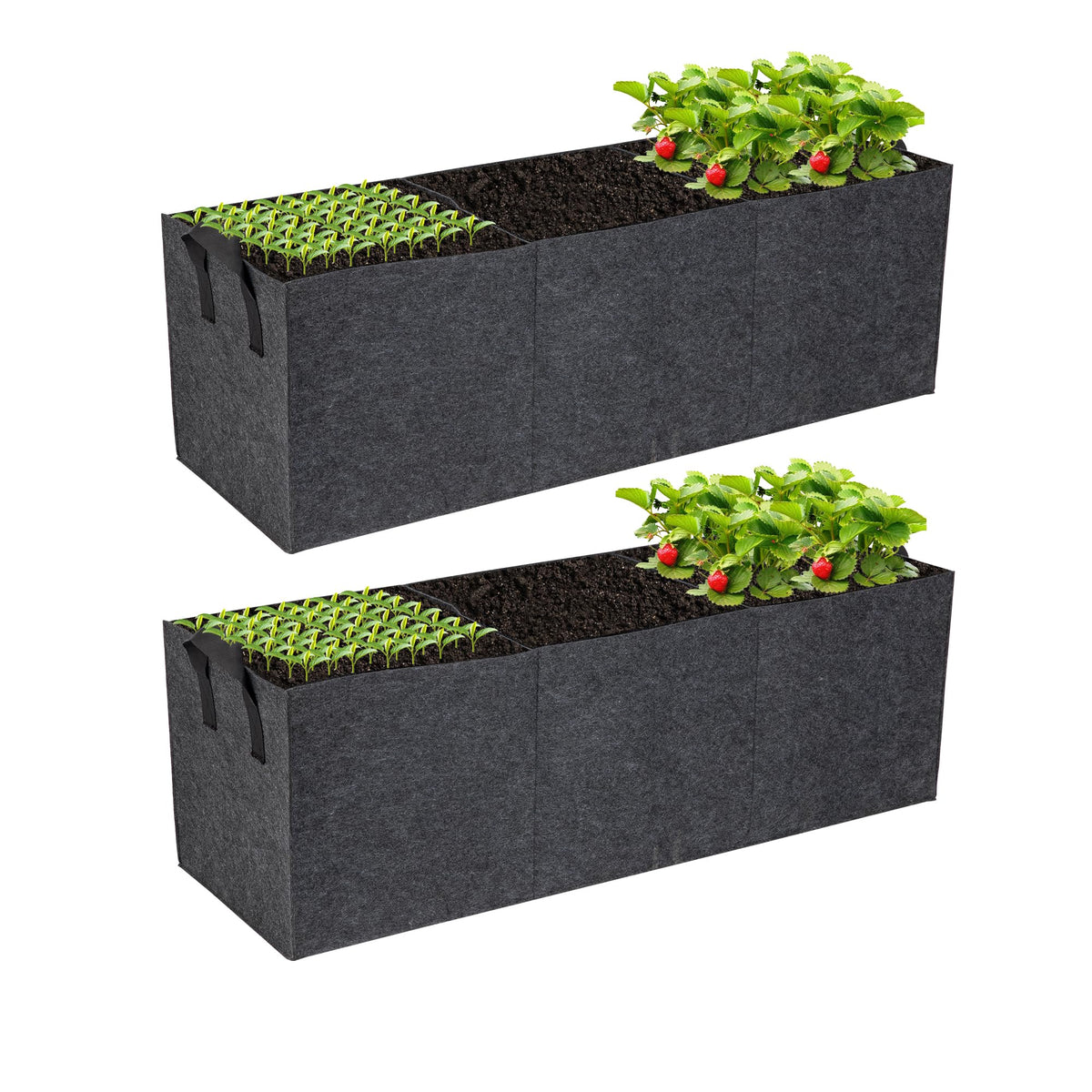 FVOTNW 2-pack 3-grid fabric raised garden bed for small spaces, breathable and versatile.