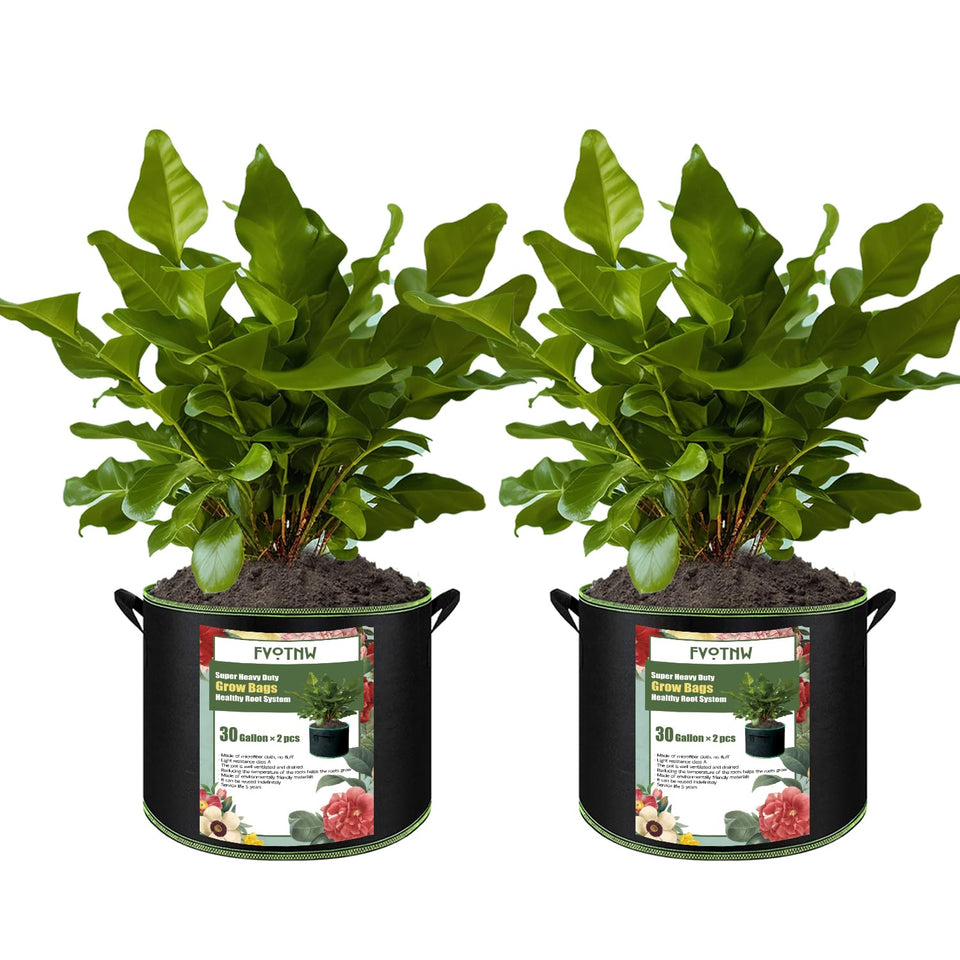 FVOTNW 2-pack 30-gallon grow bags for versatile garden use.