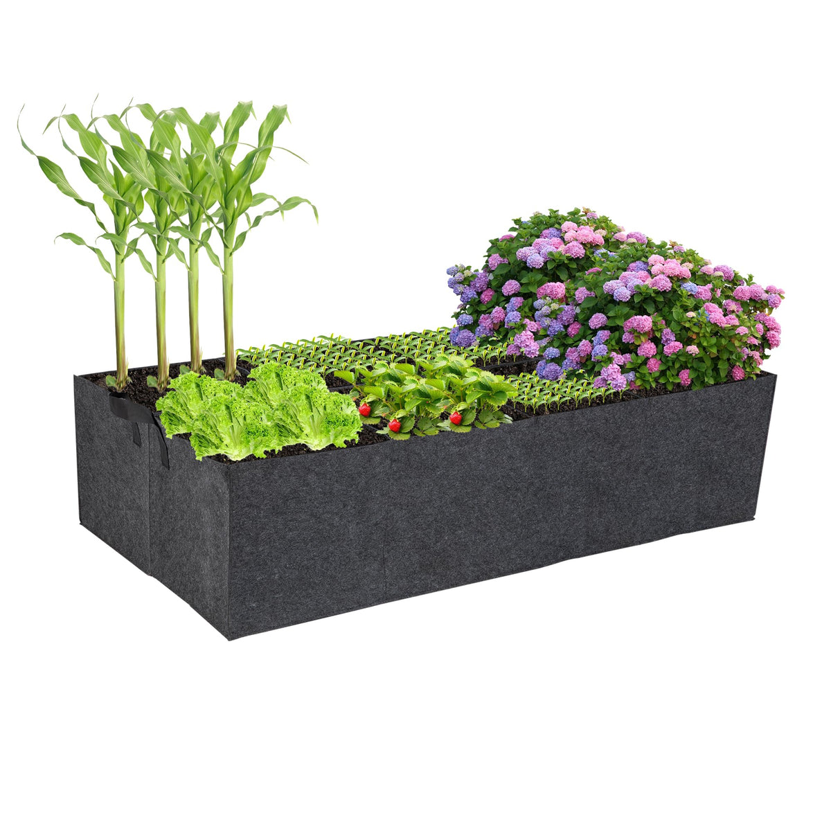 FVOTNW 8-grids fabric raised bed showing eight compartments for organized planting