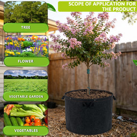 FVOTNW grow bag design enabling sun exposure adjustments and seasonal moves