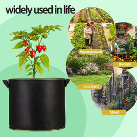 FVOTNW outdoor-indoor-use ready planters suit vegetables, flowers, and small fruit trees in any space.