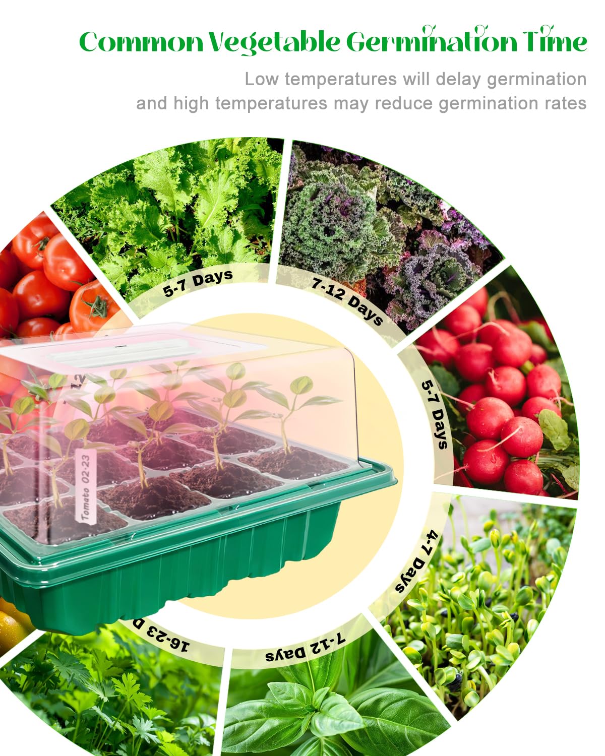 FYLXURO dual drainage keeps trays clean and healthy for seedlings.