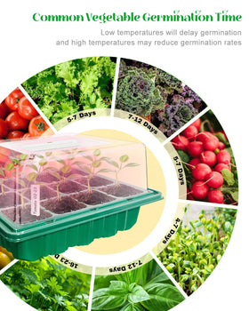 FYLXURO dual drainage keeps trays clean and healthy for seedlings.