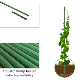 G-LEAF 5 ft stake used to support cucumber vines