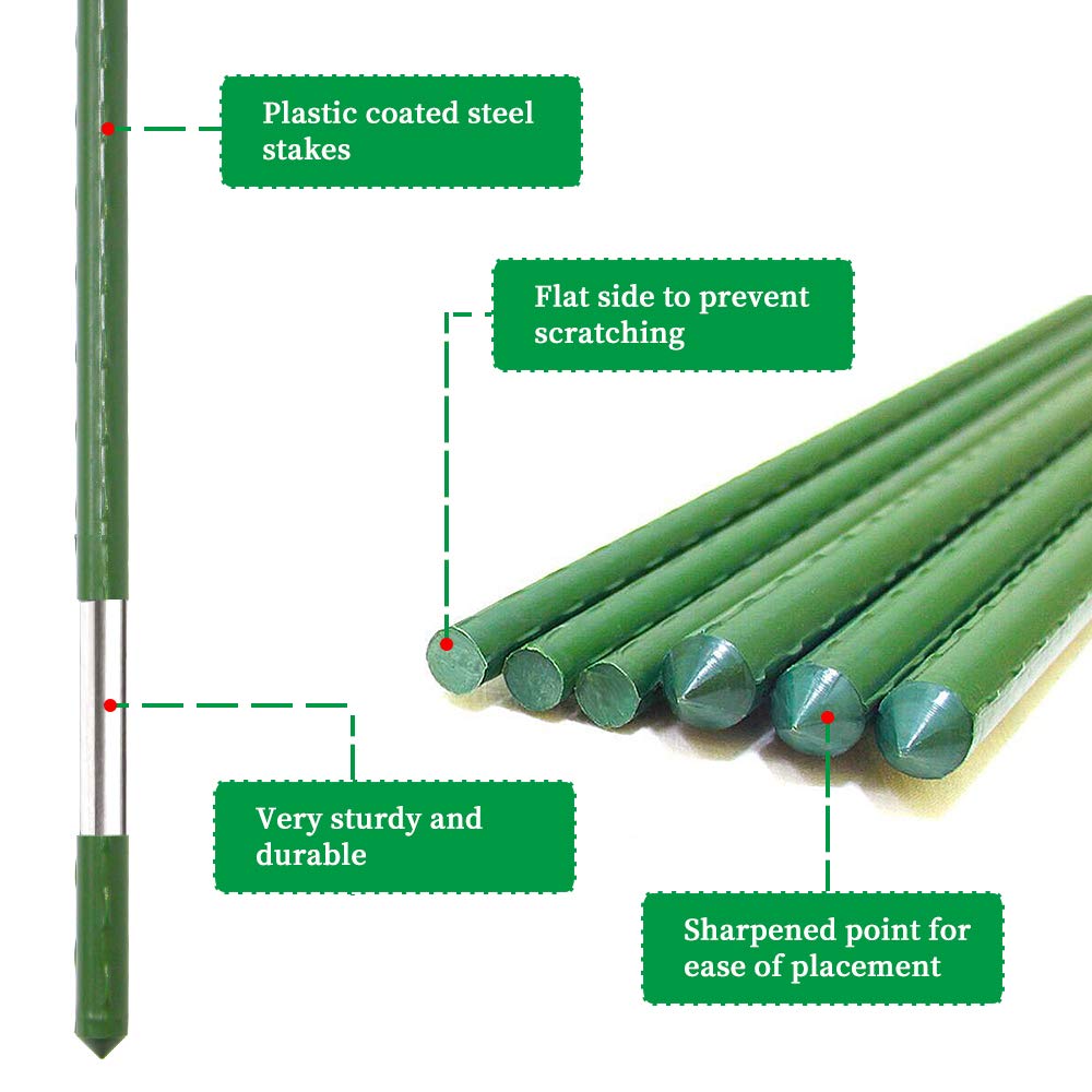 G-LEAF bean trellis with steel stakes