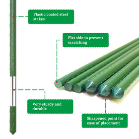 G-LEAF bean trellis with steel stakes