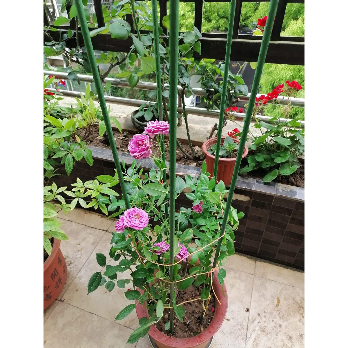 G-LEAF easy-to-insert garden stakes in soil