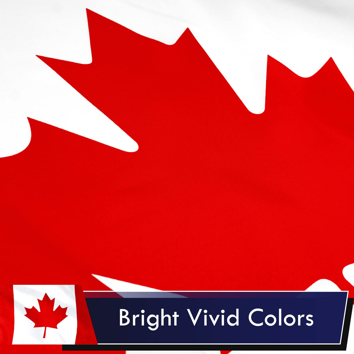 G128 dye-sublimated color flag stays vibrant in sunlight