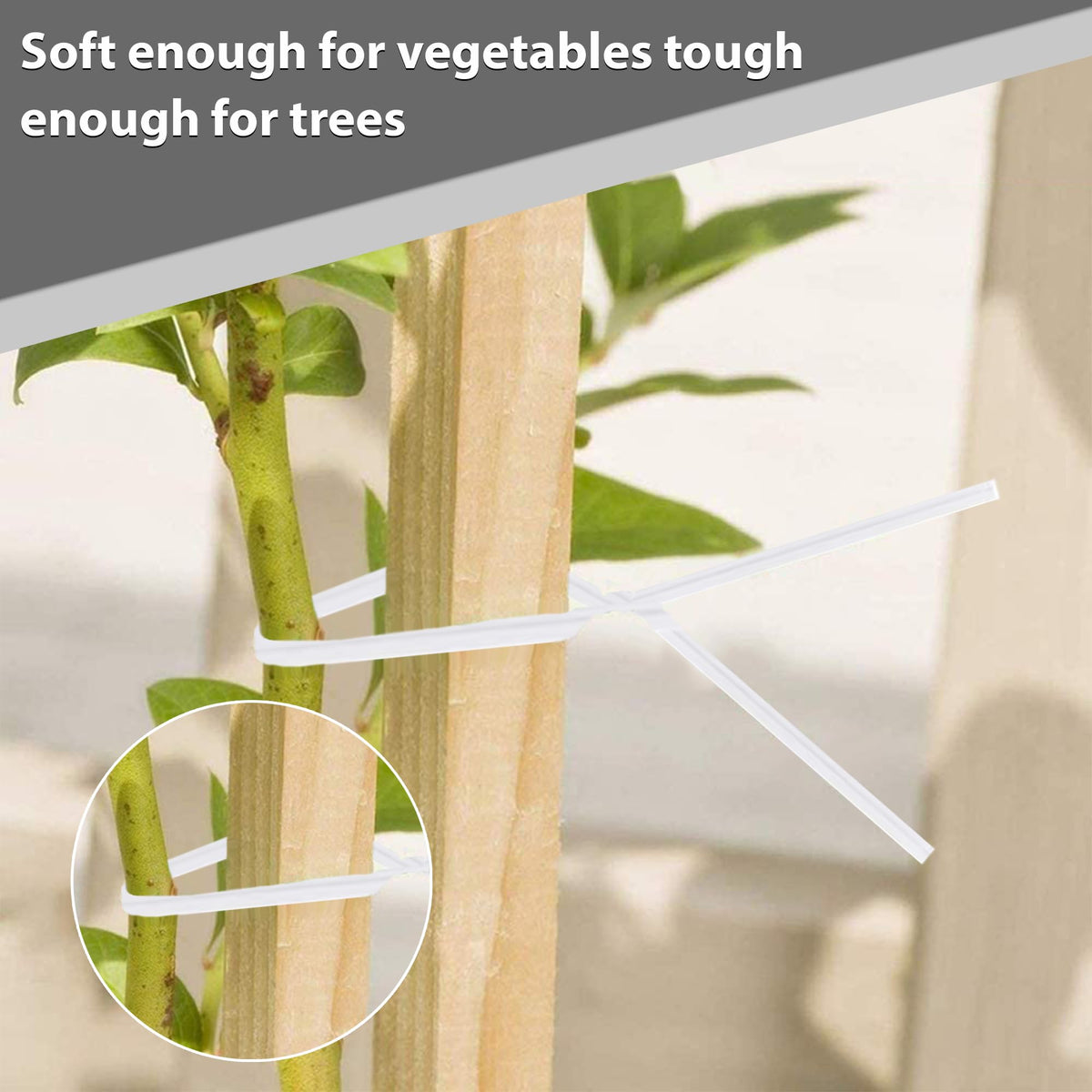 Gadget Beyond white paper tie ideal for coffee and snack bags.