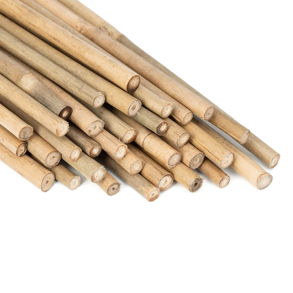 GAGINANG 18-inch bamboo stake bundle provides sturdy support for vegetables