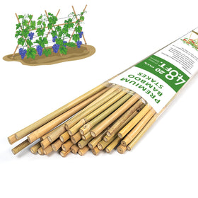 GAGINANG bamboo stakes provide sturdy 4-8 ft support for tall garden plants.