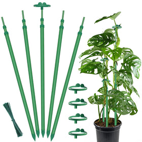 GAGINANG extendable plant stake with telescoping height adapts as plants grow