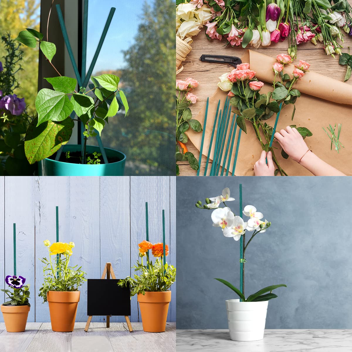 GAGINANG 18-inch bamboo stakes offer flexible support for mixed plant sizes.