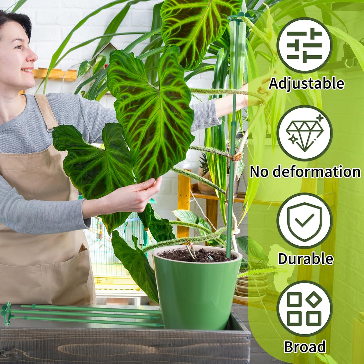GAGINANG reliable garden stake for vines and tall blooms