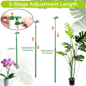 GAGINANG plant stake supports monstera, tomatoes, and orchids in indoor/outdoor setups