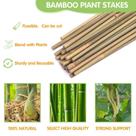 GAGINANG tomato and bean stakes suitable for indoor or outdoor use.