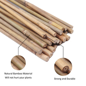 GAGINANG tomato plant support stake guides growth for tomatoes