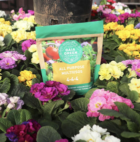 Gaia Green 4-4-4 organic label showing balanced NPK for garden use