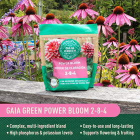 Gaia Green Power Bloom is easy to apply on baskets and beds.