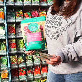 Gaia Green Power Bloom supports robust root growth in flowering crops.