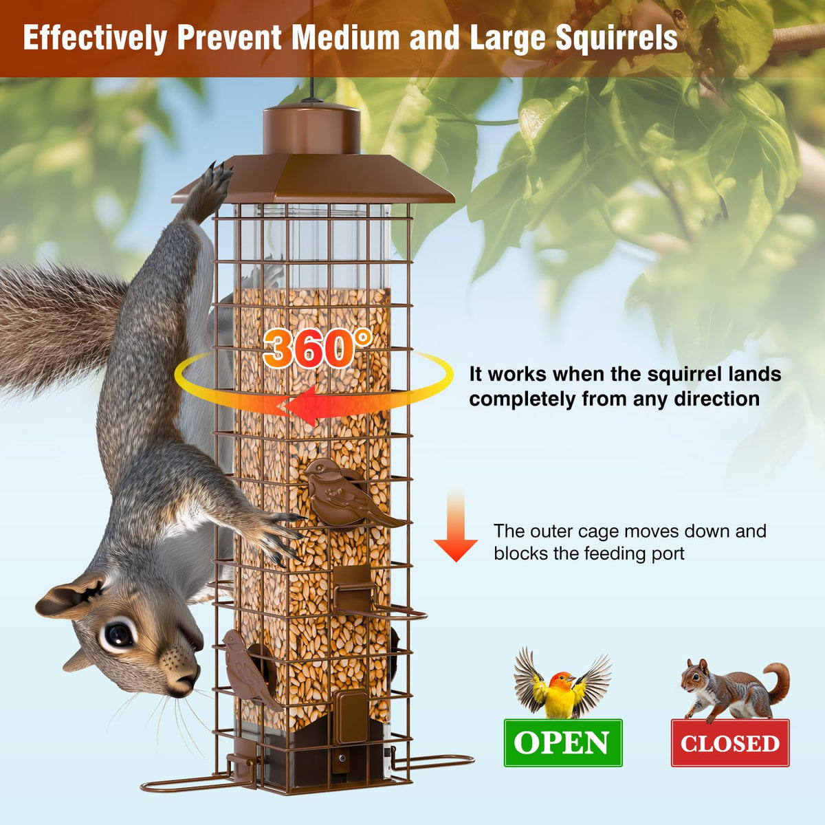 GAINSEN weight-activated cage deters intruders while birds feed.