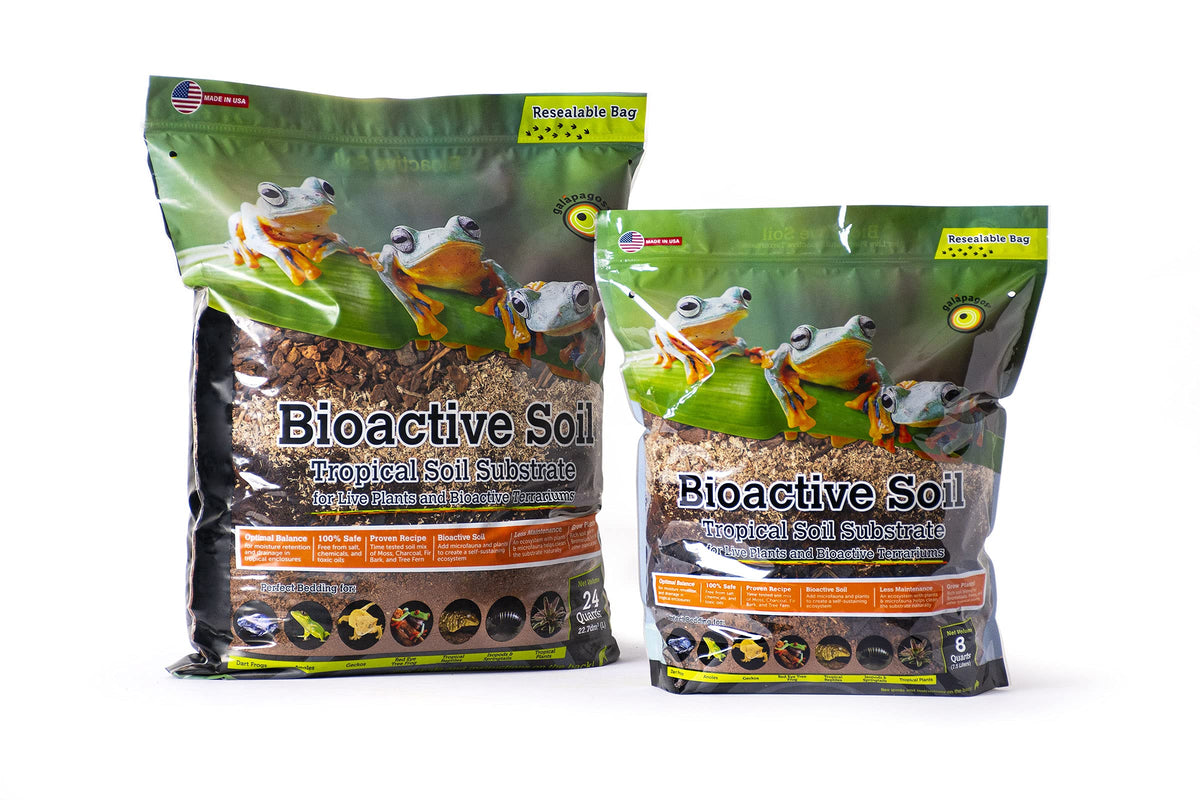 Galápagos Bioactive Soil in tropical terrarium setup demonstrates versatile use.
