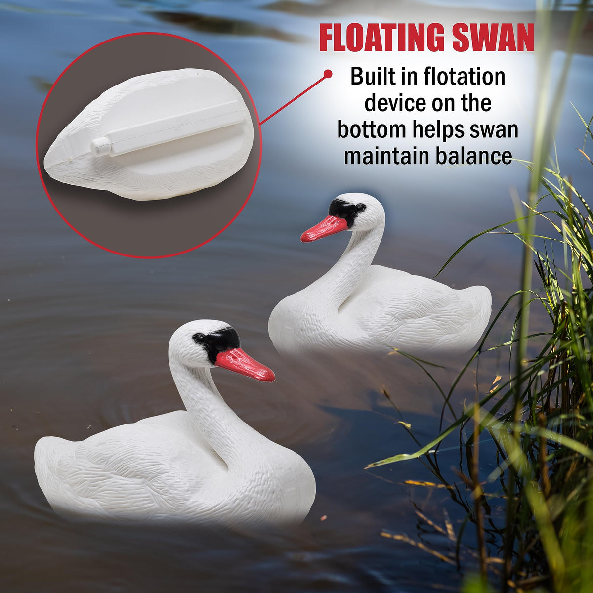 Galashield Swan décor in backyard pond adds elegant outdoor styling.