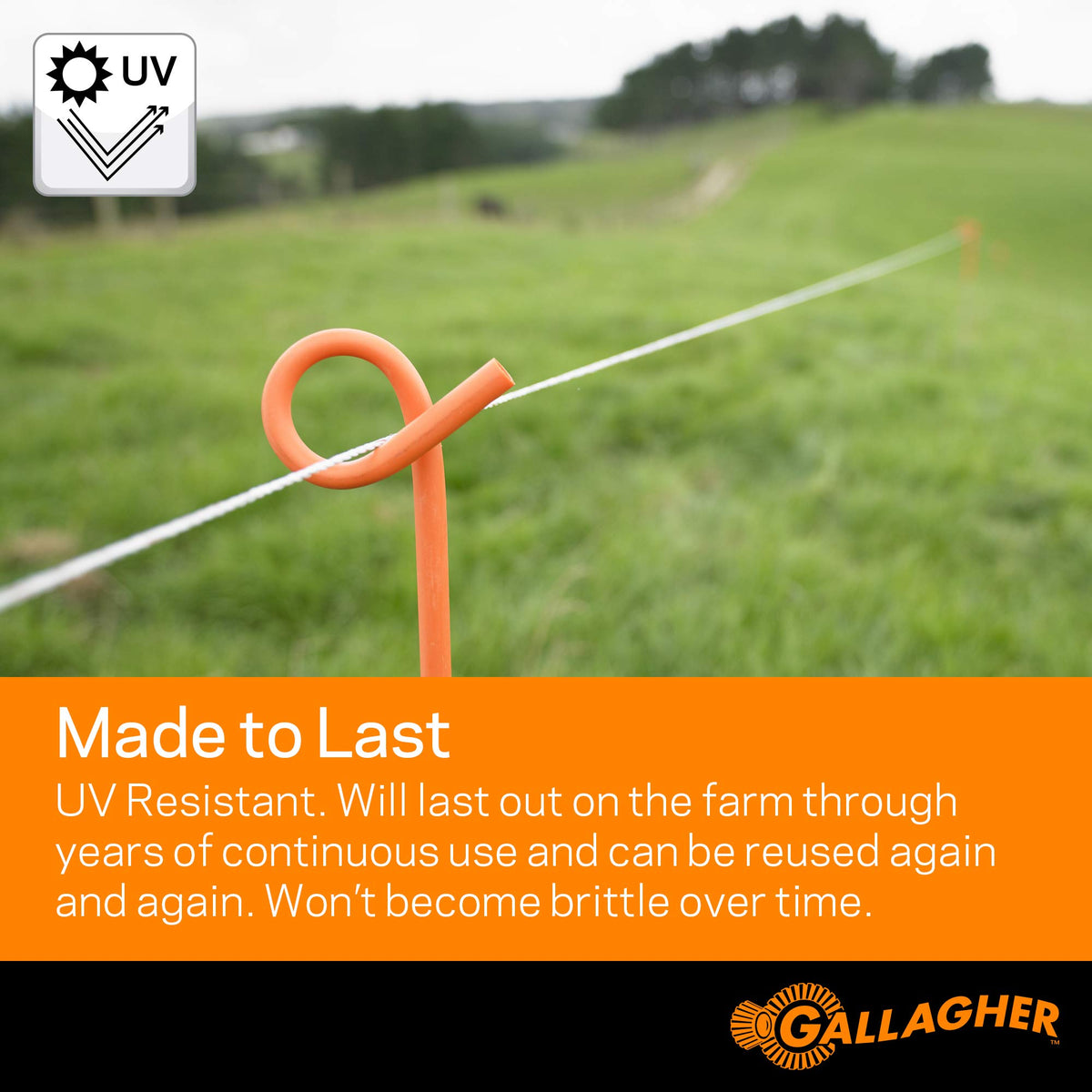 Gallagher horses and cattle fencing suitable for rotational grazing in pastures.