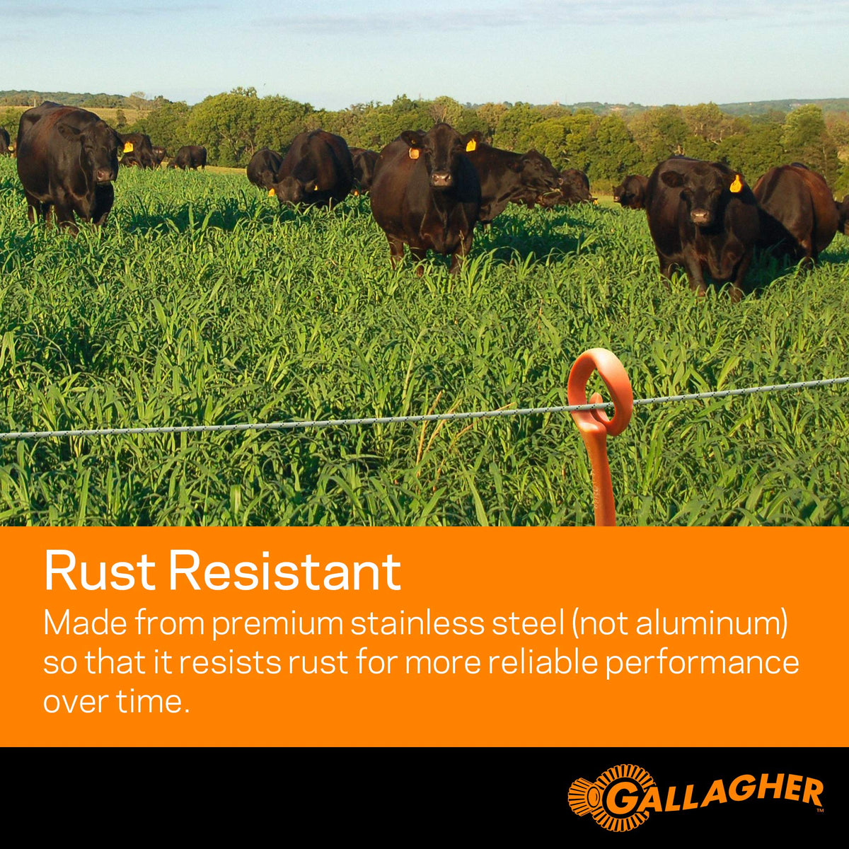 Gallagher portable fence reel setup demonstrates easy wind-in, wind-out operation.