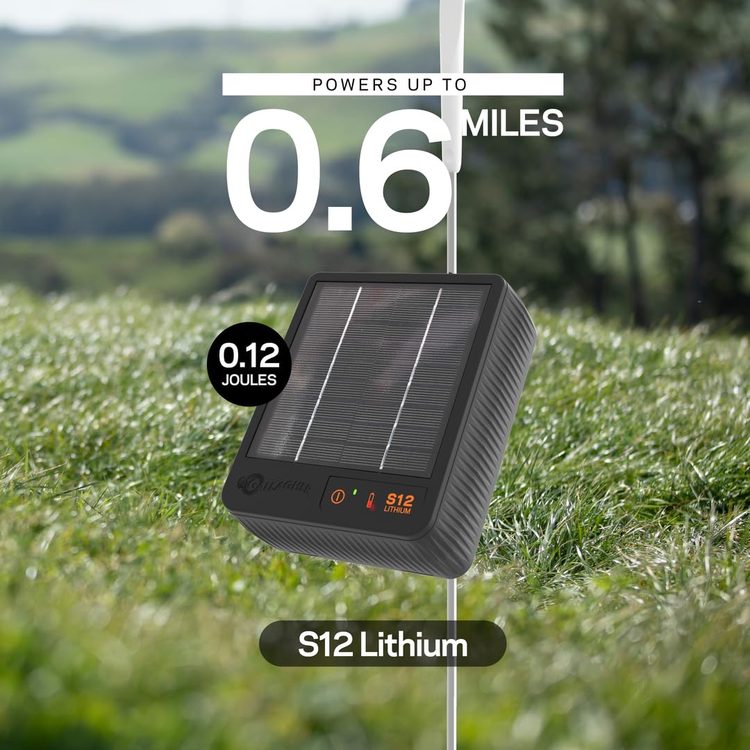 Gallagher S12 solar panel setup photo showing sun exposure for reliable power