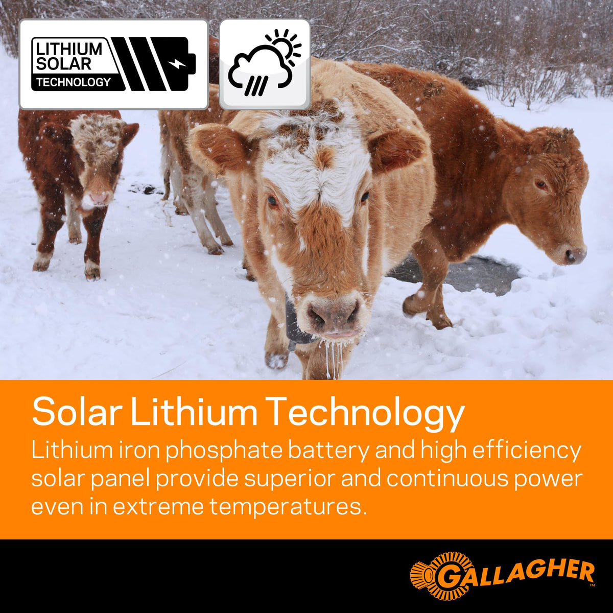 Gallagher S30 included fence and ground leads enable fast installation.
