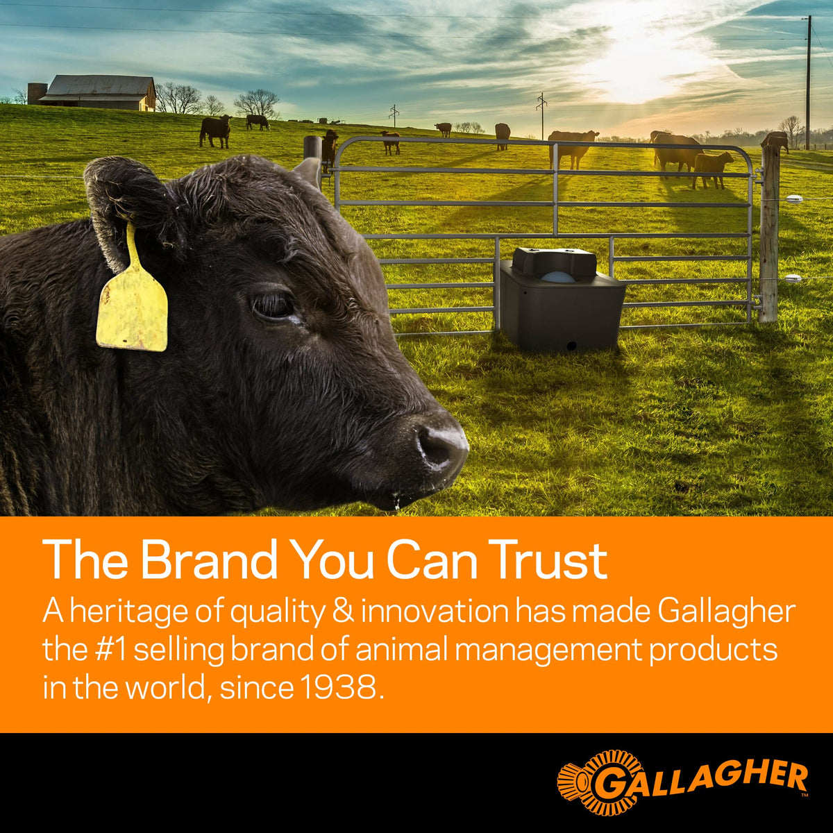 Gallagher Smart Fence 2 weather-resistant build withstands outdoor use across seasons.