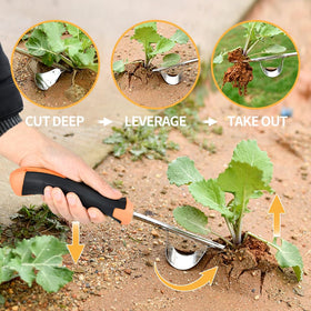 Ganchun L-shape crack weeder reaching narrow spaces in sidewalks.