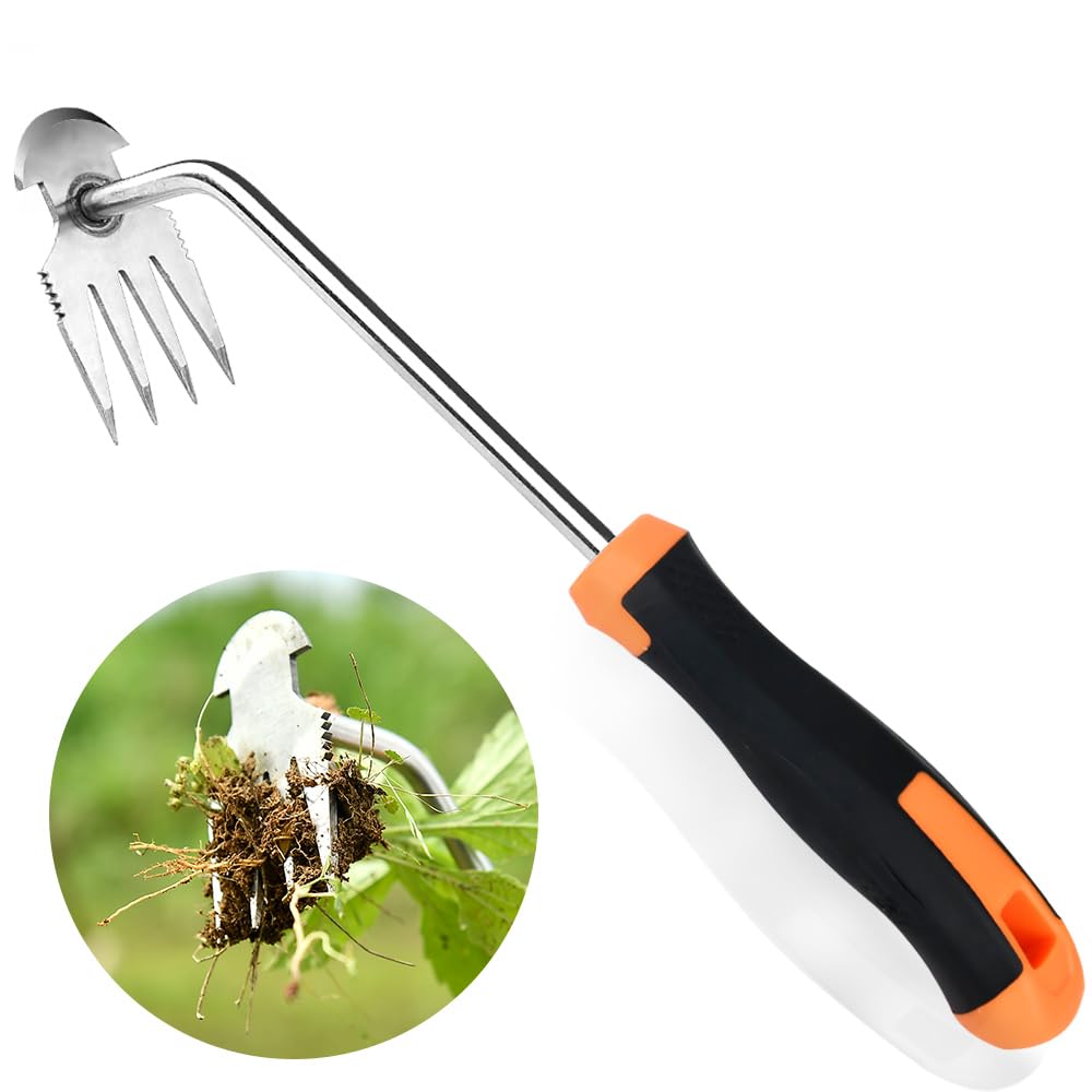GANCHUN weed puller tool with four teeth for easy garden weeding.
