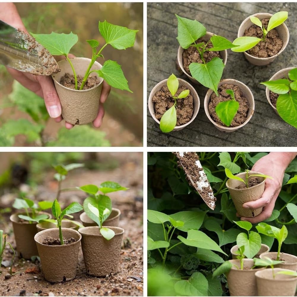GardEasy biodegradable nursery pots designed to degrade and nourish soil