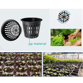 GardEasy plant labels to identify seedlings quickly and clearly