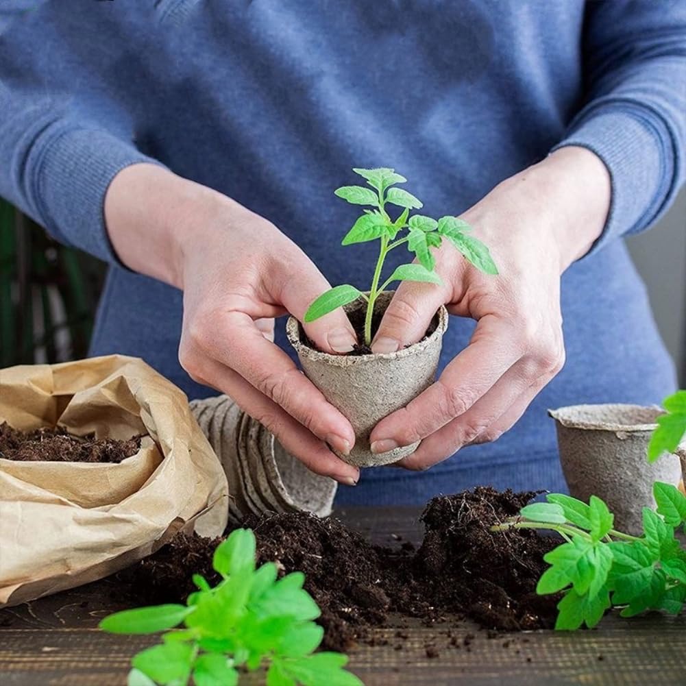 GardEasy pots with drainage holes support healthy moisture balance