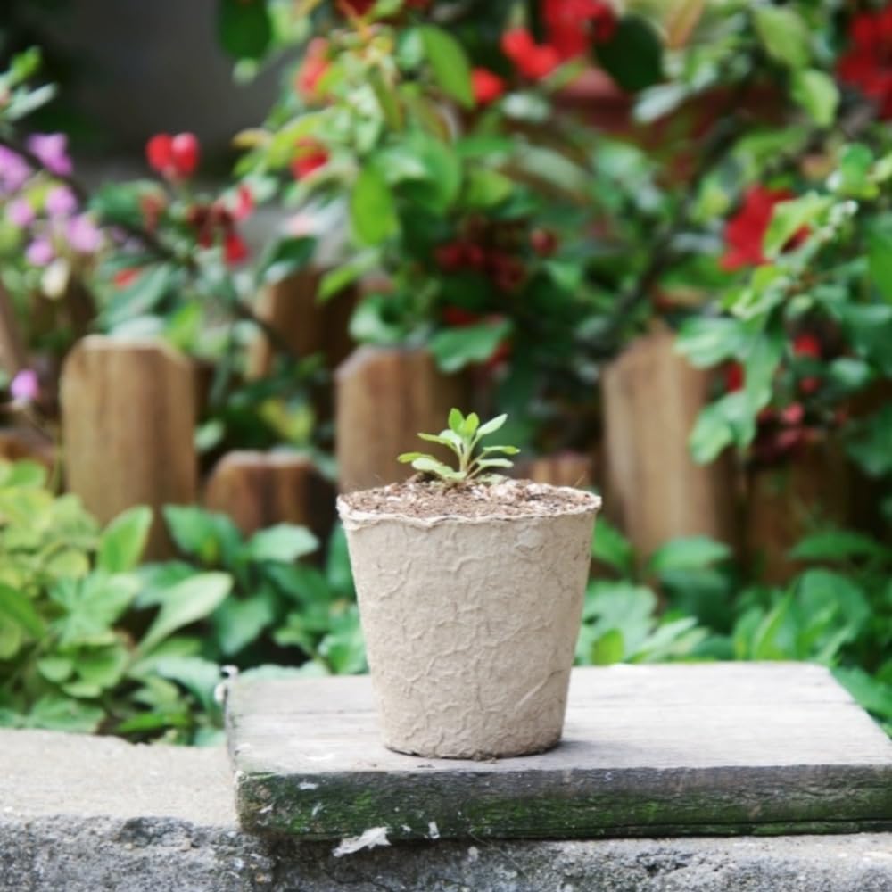 GardEasy seed-starting pots ideal for flowers, herbs, and vegetables