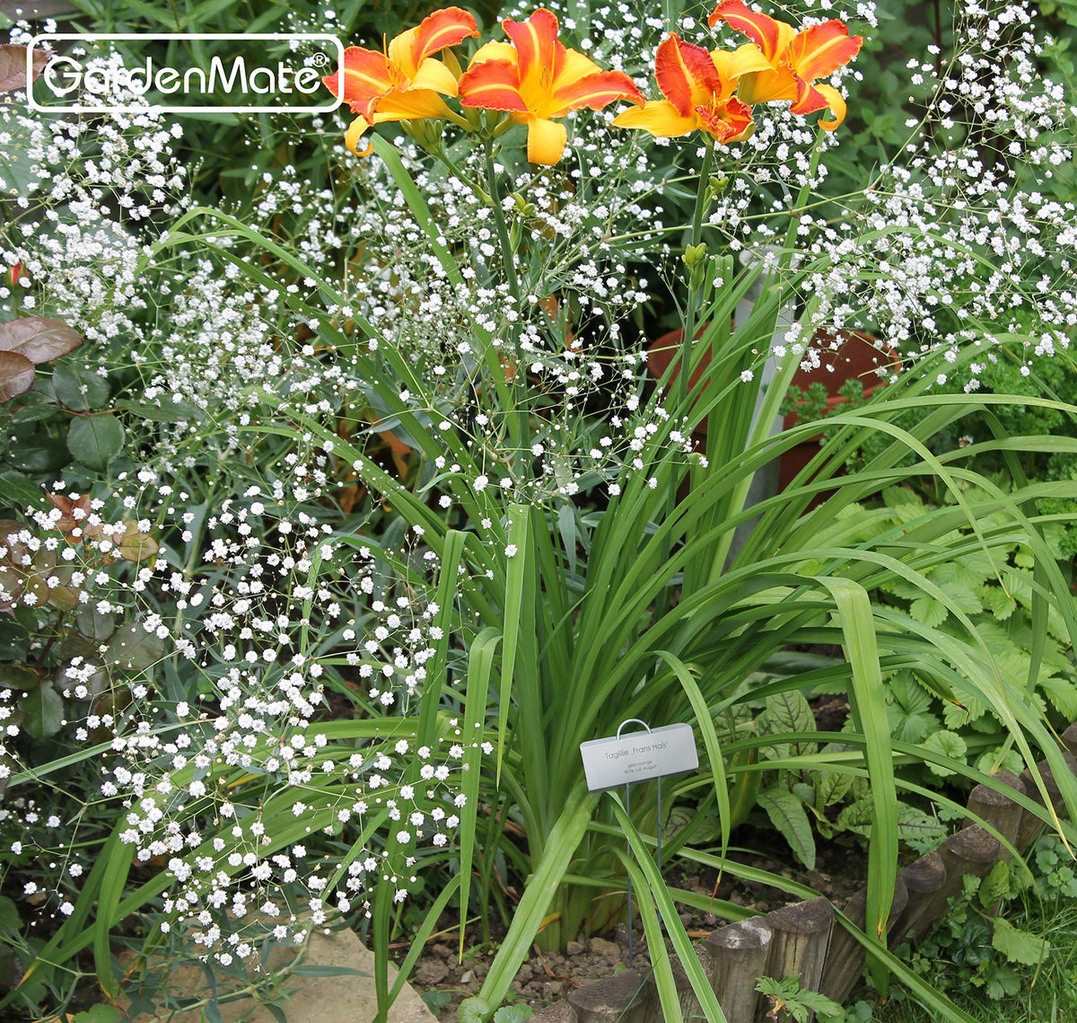 GardenMate labels suit beds, pots, balcony boxes, and herb gardens.