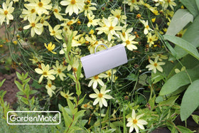 GardenMate ideal for kids learning gardening through labeling and exploration.