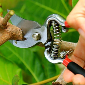 Garden Guru carbon steel construction delivers durability for years of gardening