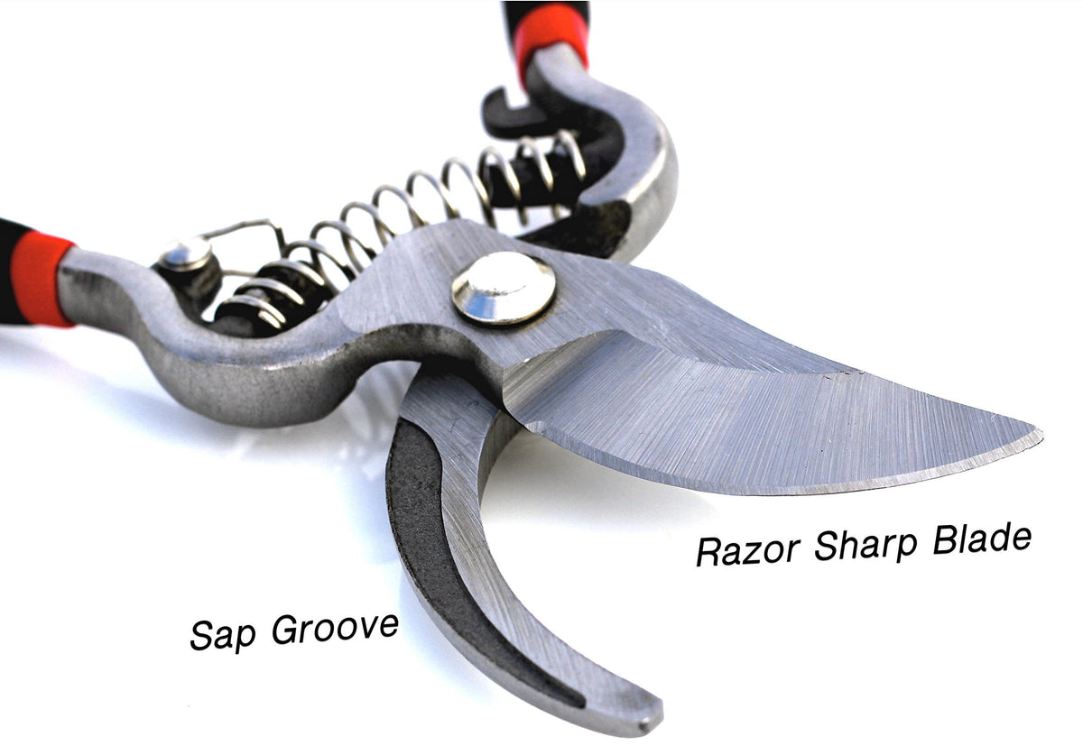 Garden Guru pruner blade close-up showing precision for live growth